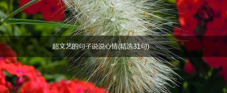 超文艺的句子说说心情(精选31句),第1张