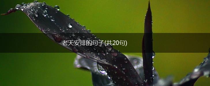 老天安排的句子(共20句),第1张