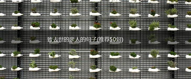 致去世的亲人的句子(推荐50句),第1张