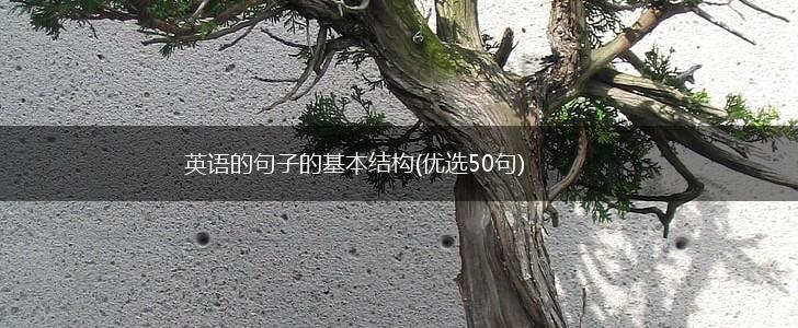 英语的句子的基本结构(优选50句),第1张