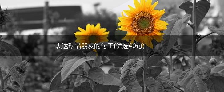 表达珍惜朋友的句子(优选40句),第1张