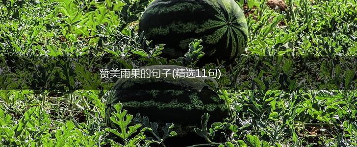 赞美雨果的句子(精选11句),第1张