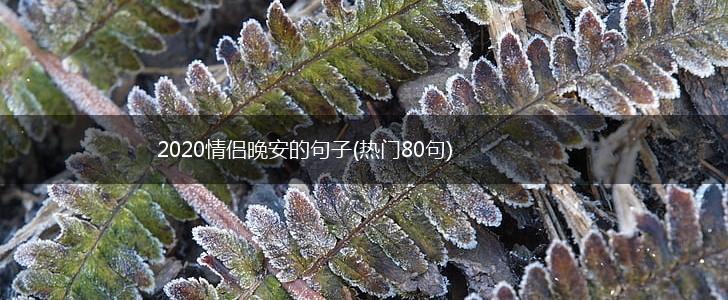 2020情侣晚安的句子(热门80句),第1张