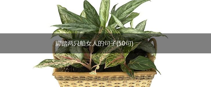 脚踏两只船女人的句子(50句),第1张