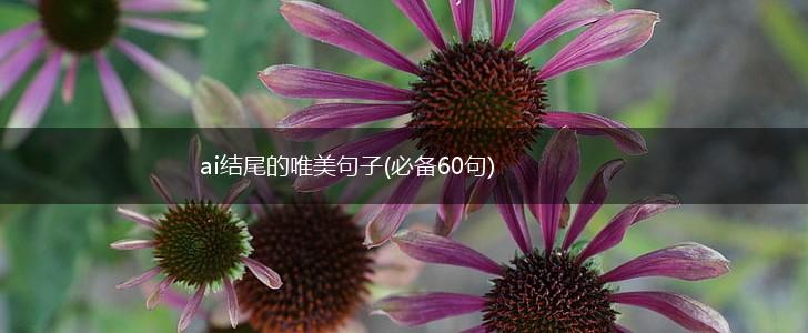 ai结尾的唯美句子(必备60句),第1张