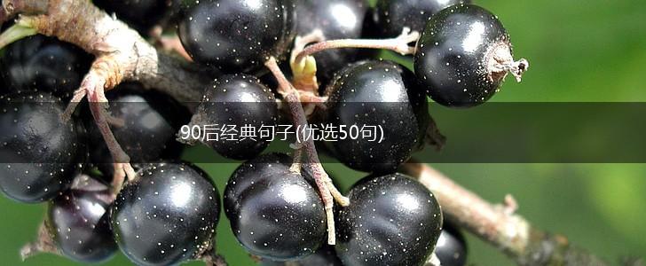 90后经典句子(优选50句),第1张