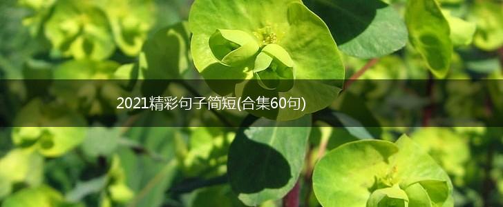2021精彩句子简短(合集60句),第1张