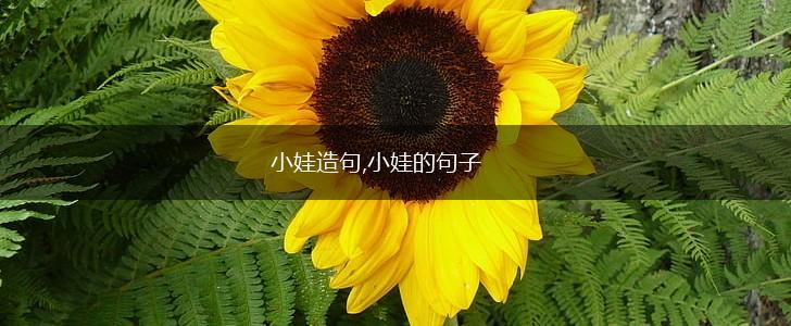 小娃造句,小娃的句子,第1张