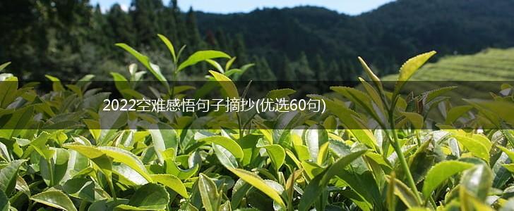 2022空难感悟句子摘抄(优选60句),第1张