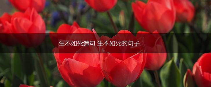 生不如死造句 生不如死的句子,第1张