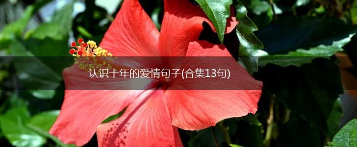 认识十年的爱情句子(合集13句),第1张