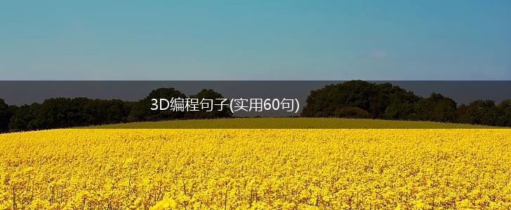 3D编程句子(实用60句),第1张