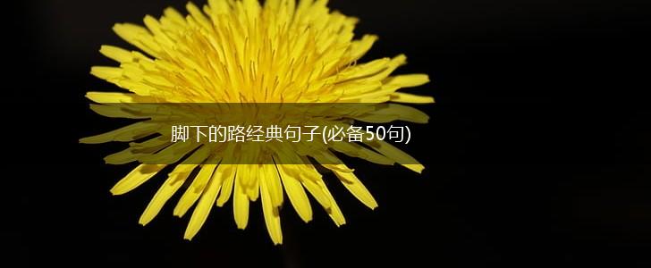 脚下的路经典句子(必备50句),第1张