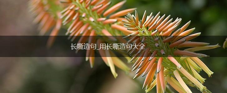 长嘶造句_用长嘶造句大全,第1张