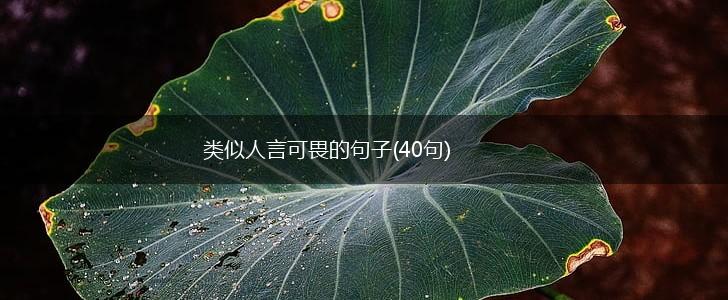 类似人言可畏的句子(40句),第1张