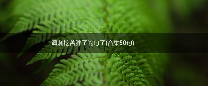 讽刺挖苦胖子的句子(合集50句),第1张