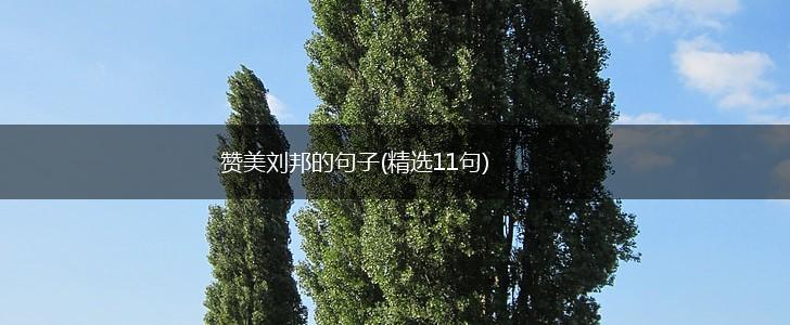 赞美刘邦的句子(精选11句),第1张