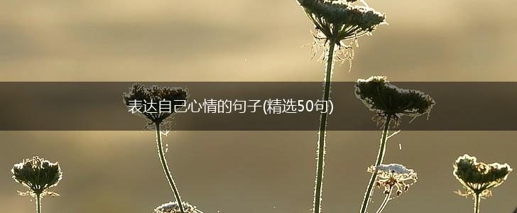 表达自己心情的句子(精选50句),第1张