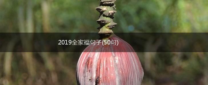 2019全家福句子(50句),第1张