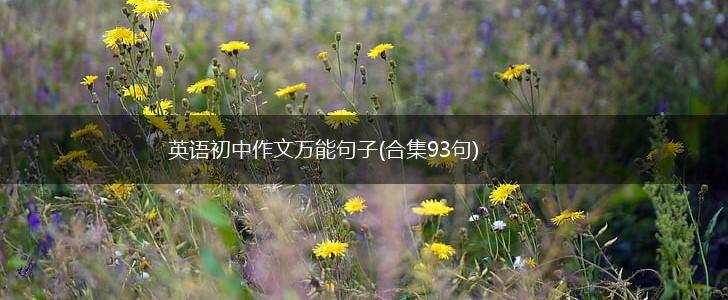 英语初中作文万能句子(合集93句),第1张