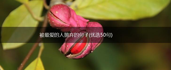 被最爱的人抛弃的句子(优选50句),第1张