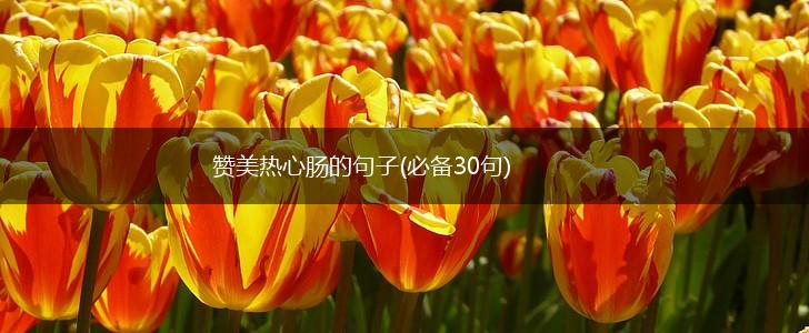 赞美热心肠的句子(必备30句),第1张