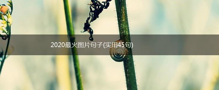 2020最火图片句子(实用45句),第1张