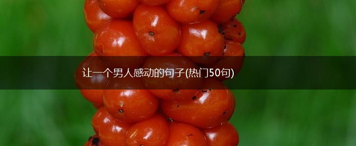 让一个男人感动的句子(热门50句),第1张