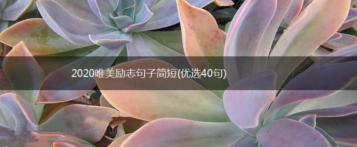 2020唯美励志句子简短(优选40句),第1张