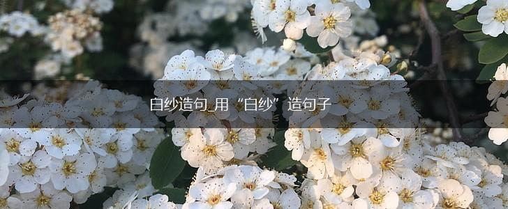 白纱造句_用“白纱”造句子,第1张