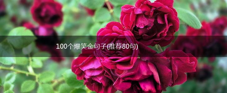 100个爆笑金句子(推荐80句),第1张