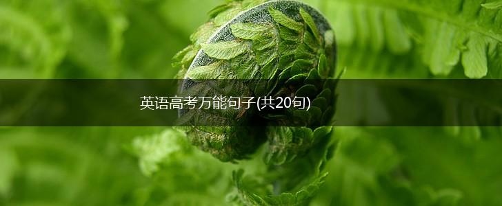 英语高考万能句子(共20句),第1张