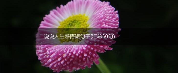 说说人生感悟短句子(汇总50句),第1张