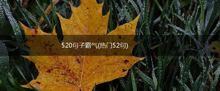 520句子霸气(热门52句),第1张