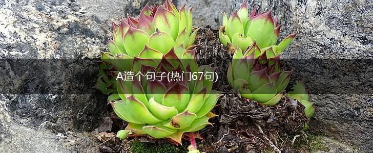 A造个句子(热门67句),第1张