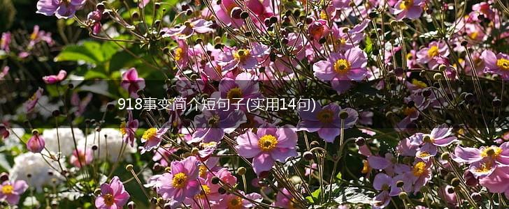 918事变简介短句子(实用14句),第1张