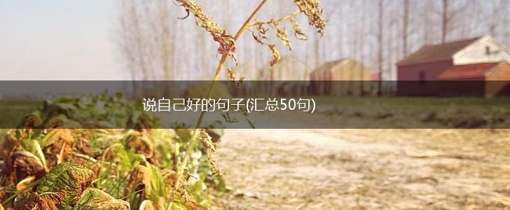 说自己好的句子(汇总50句),第1张