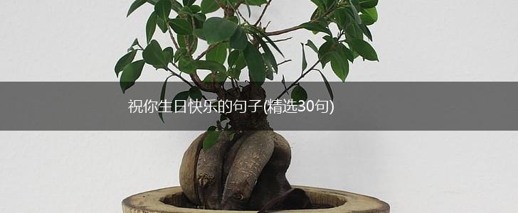 祝你生日快乐的句子(精选30句),第1张