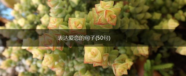 表达爱恋的句子(50句),第1张