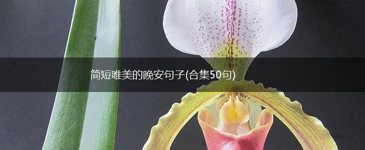 简短唯美的晚安句子(合集50句),第1张