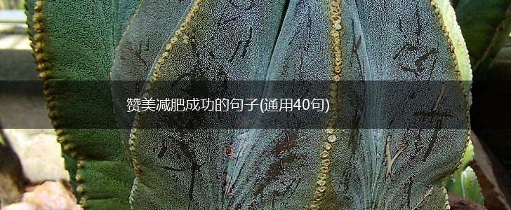 赞美减肥成功的句子(通用40句),第1张