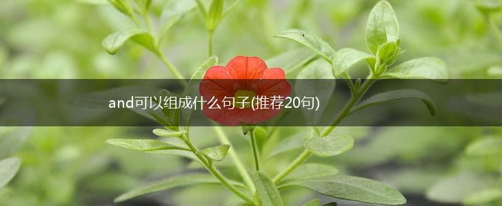 and可以组成什么句子(推荐20句),第1张