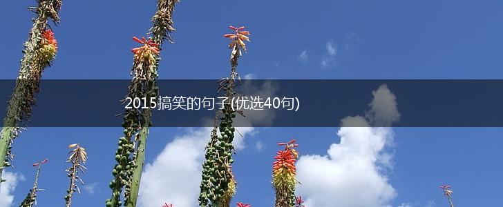 2015搞笑的句子(优选40句),第1张