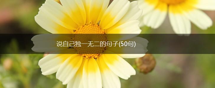 说自己独一无二的句子(50句),第1张