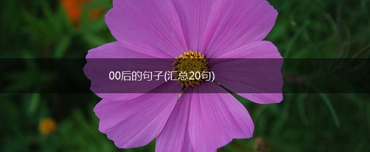 00后的句子(汇总20句),第1张