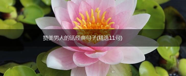 赞美男人的话经典句子(精选11句),第1张
