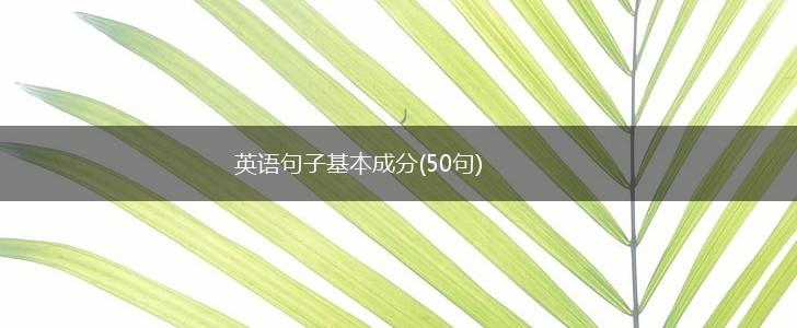 英语句子基本成分(50句),第1张