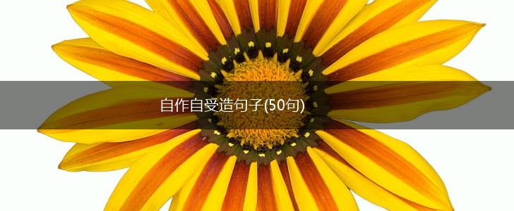 自作自受造句子(50句),第1张