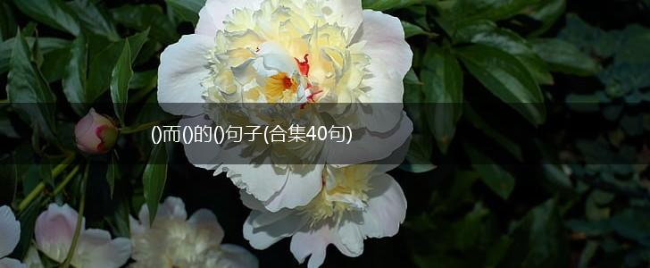 ()而()的()句子(合集40句),第1张
