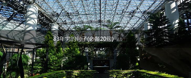 83年男的句子(必备20句),第1张